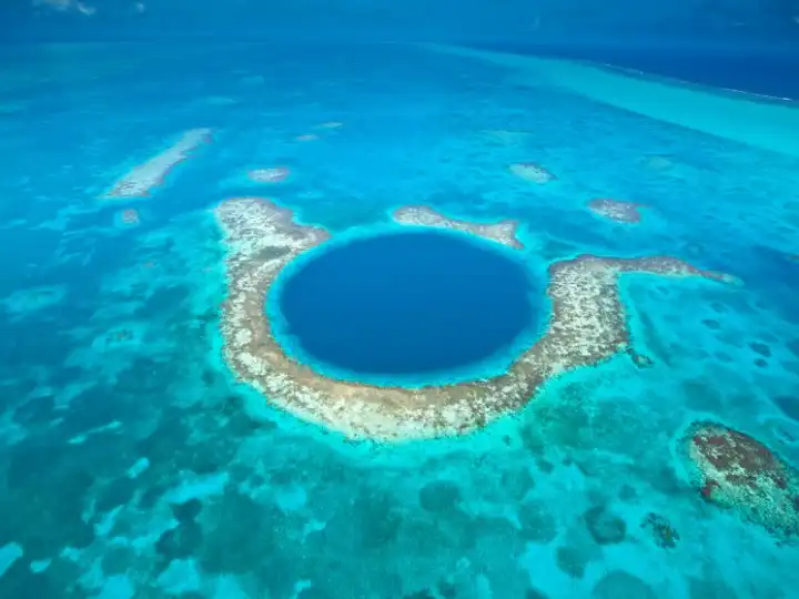 The agenda opener: Updates from our correspondents and a conversation with Chris Black