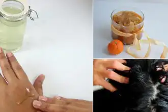 14 vegetable -cerin used | Glycerine for Beauty ⋆ Clear things